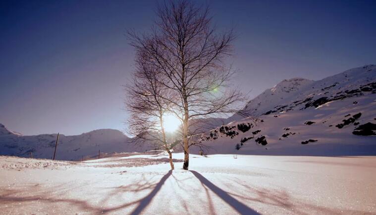 开元官方网站登录电器宣传片